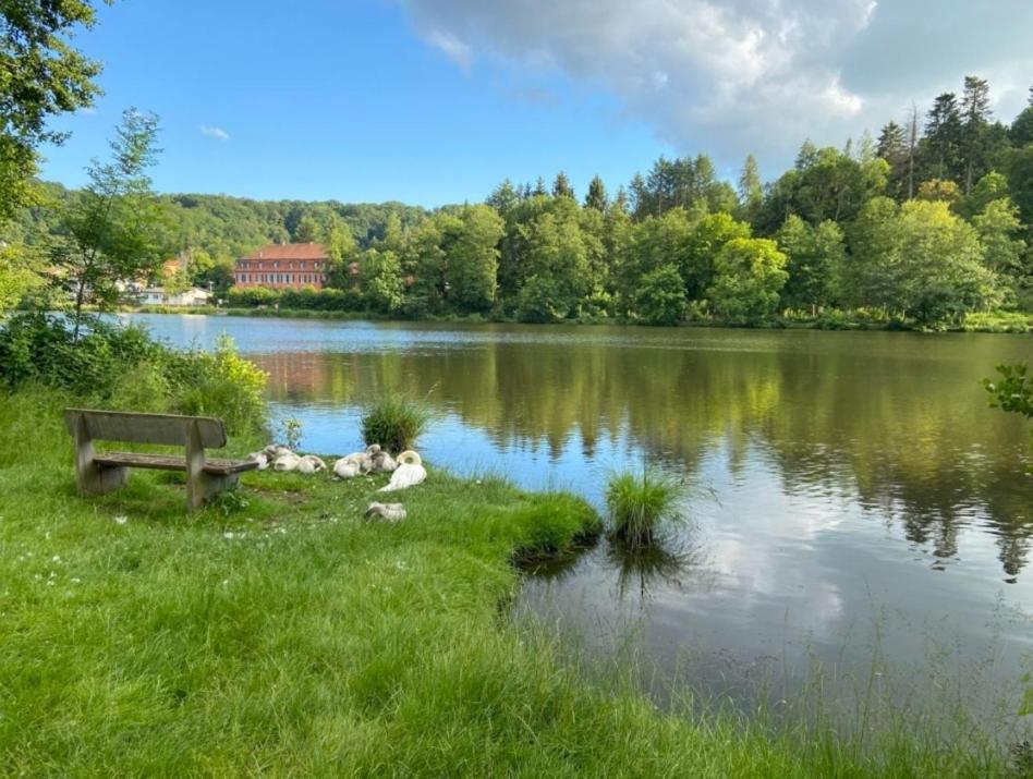 Hotel Und Restaurant Halbinsel Blieskastel Eksteriør billede